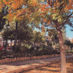 ruta del agua 2 (2)